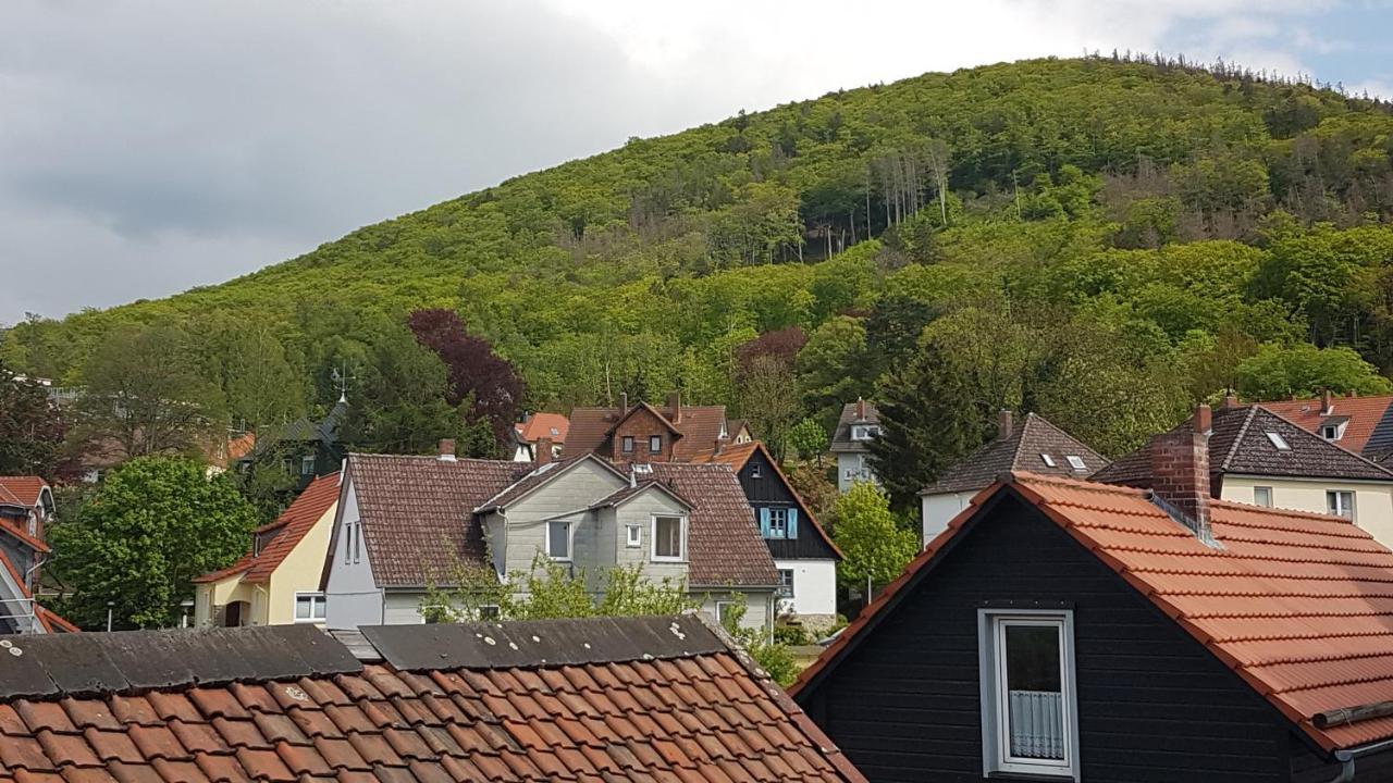 Brockenferien Lejlighed Bad Harzburg Eksteriør billede