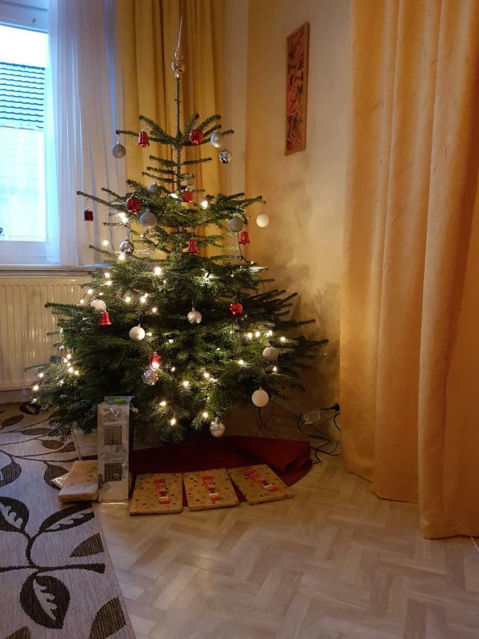 Brockenferien Lejlighed Bad Harzburg Eksteriør billede